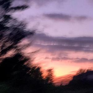 国产成人精品无码一区二区
